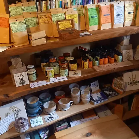 Apartament Naturlehmhaus