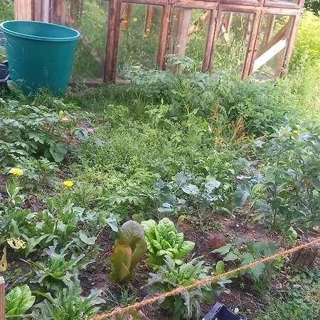 Διαμέρισμα Naturlehmhaus Hardenbeck