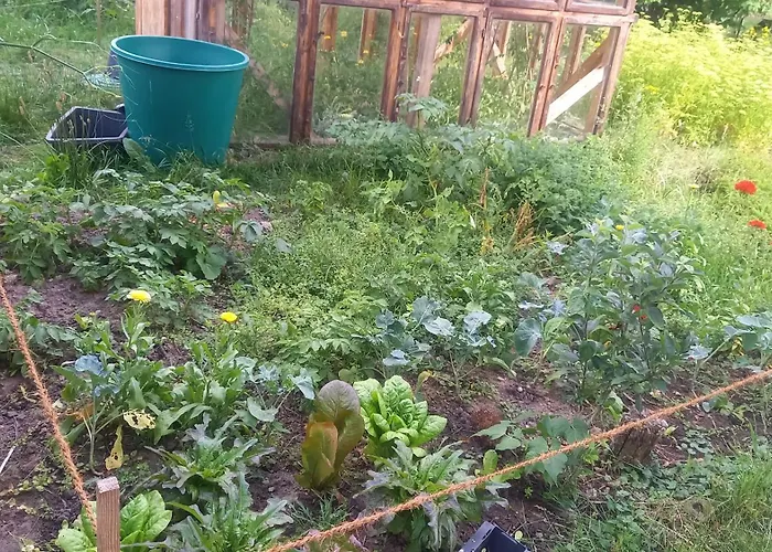 Lägenhet Naturlehmhaus Hardenbeck